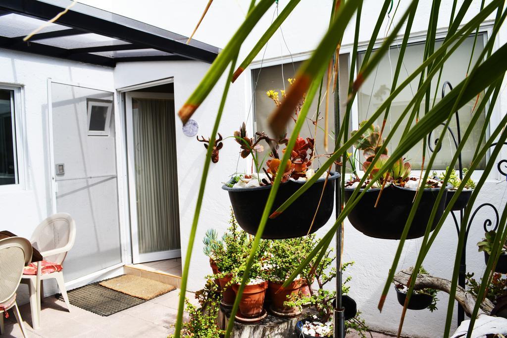 ホテル Residencia Sofia ケレタロ エクステリア 写真